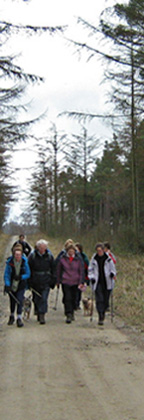Striding through Cropton Forest/from a photo by Arnold Underwood/16th March 2008